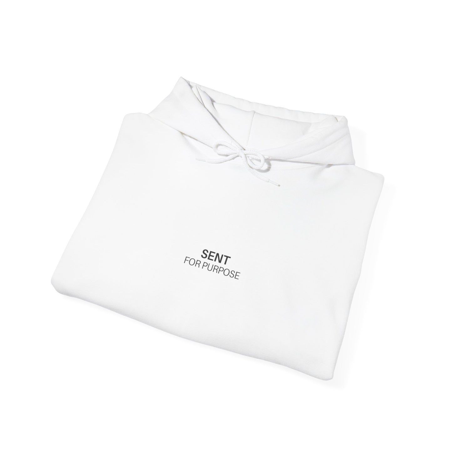 What Purpose Were You Made For? - Hooded Sweatshirt